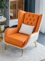 Современный и минималистичный диван для отдыха, в американском стиле, тигр