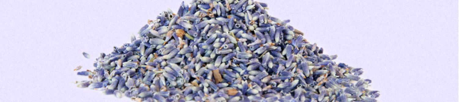 Lavender gối cặp gối một cặp gắn kết nhà chăm sóc mức độ đơn gối cổ tử cung kiều mạch gối của đàn ông và phụ nữ - Gối gối chống bẹp đầu babymoov