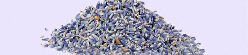 Lavender gối cặp gối một cặp gắn kết nhà chăm sóc mức độ đơn gối cổ tử cung kiều mạch gối của đàn ông và phụ nữ - Gối gối hơi