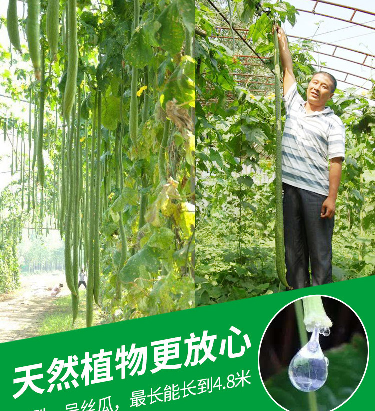 [Chính thức] Nước ép trái cây khổng lồ số 1 Loofah - Trang chủ 	nước tẩy cửa kính nhà tắm