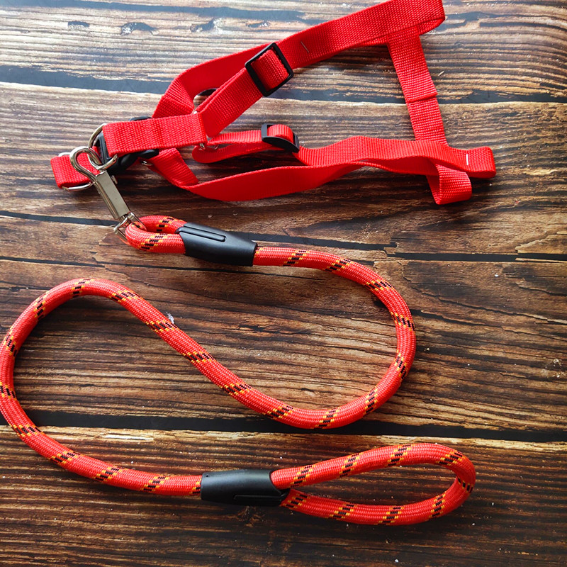 Round - chest backs Dog - chain Dog rope - traction rope in large dog pet supplies Golden Mao De - husband