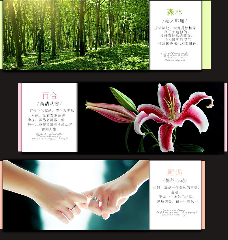 nhang bắc YilanSam Hoa hạnh phúc chính hãng Không có lửa Tiêu tan trong nhà Hương liệu tinh dầu Hương liệu Bộ tinh dầu Hộp quà tặng 80ml - Sản phẩm hương liệu nhang khoanh