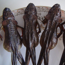 Snow clam dry 15g Changbai Mountain snow clam clam oil snow clam oil Ten