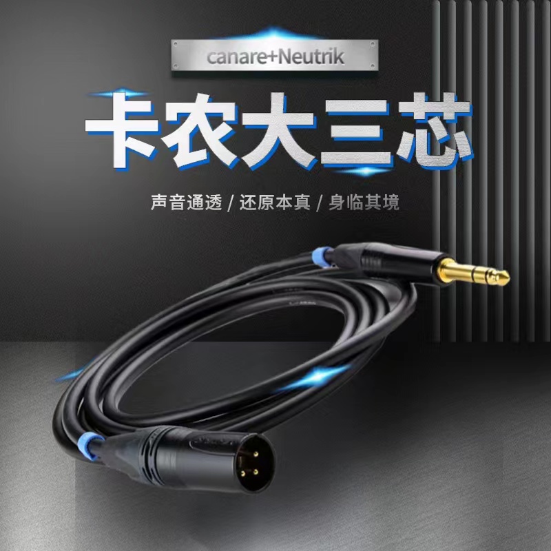 CN303AU Canon-resistant gilded Caron revolution big three-core xlr-6 35 microphone line recording sound card audio line