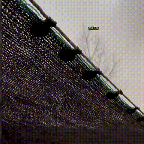 025.gif