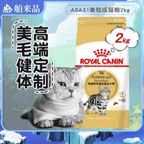 Royal ASA31 American shorthair cat into cat food 2kg beauty short custom nutrition balanced shaping beautiful hair delicious and affordable