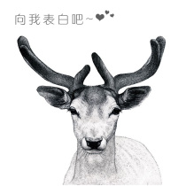  Please Mr Lu confession dedicated link(you can also make up the difference)33147346705417