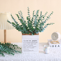Inssen Department Nordic simulation Eugalie Money Leaf plastic fake flower green plant flower arrangement decorative pendulum with photo props