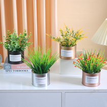 Simulation green plant small potted potted plastic fake flower bonsai Eugalie iron art flower pot swaying pieces living-room plant decoration furnishing