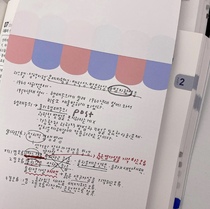 LRICE Korea NYY cute INS Net red stationery red and blue Rainbow bangs A5 grid paper learning memo book