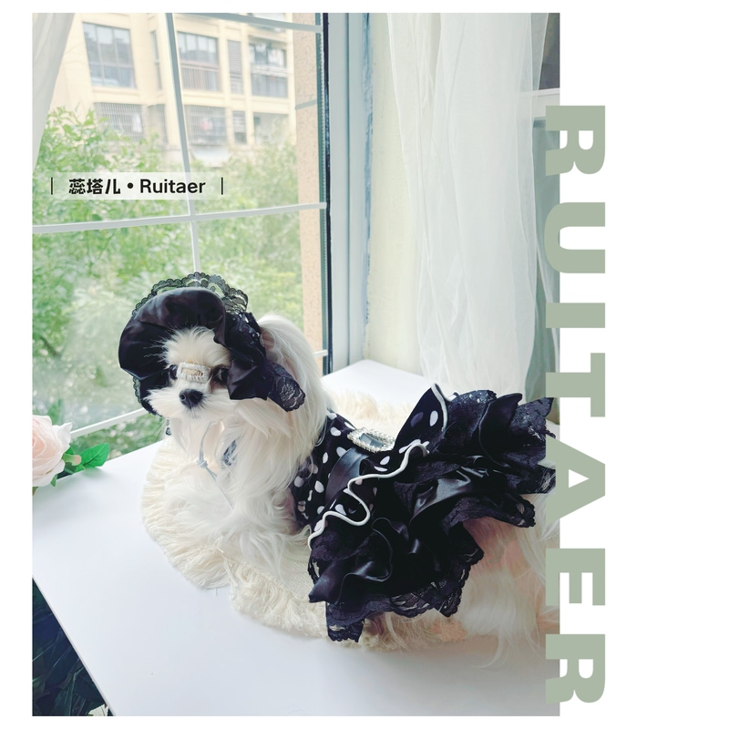 Retro Lace Polka Dot Pet Skirt Maltese Yorkshire Terrier Small Size Dogs Princess Dress Dress Dog Velvet Clothes