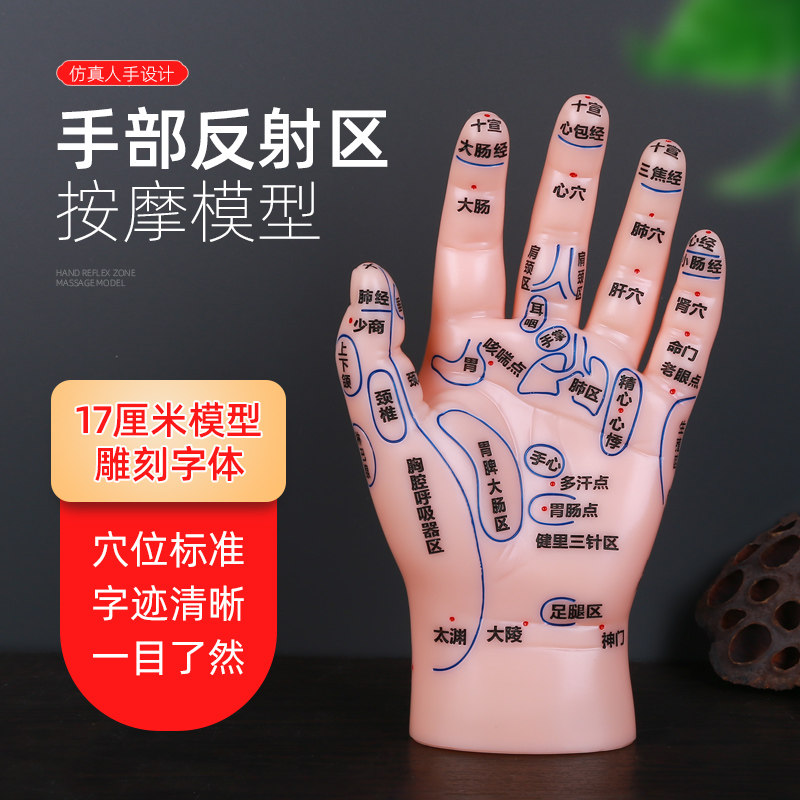大号手部模型高清大手反射区模型按摩手掌手背推拿针炙点穴位图手