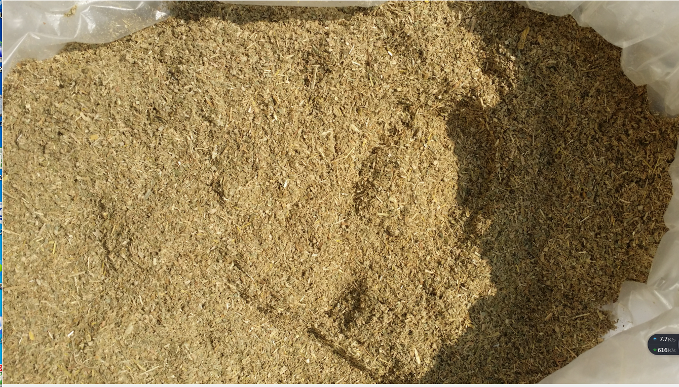 University Students Online Entrepreneurship China Seed Corn Mill Corn Leaf Powder Corn Leaf Powder 250g