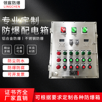 Stainless steel explosion-proof distribution cabinet socket maintenance power supply instrument lighting power wiring button box explosion-proof control cabinet