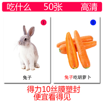 Animal food matching autism card autism language expression rehabilitation training teaching aids what to eat card