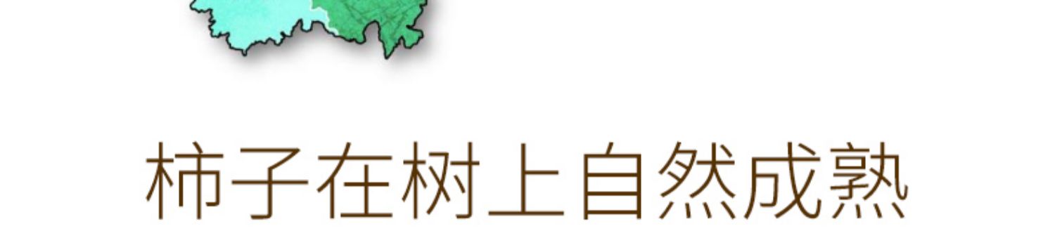 农家柿饼包邮流心柿饼特级小包装