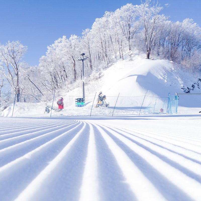 长白山万达柏悦酒店：隐匿山林中的泳池天堂