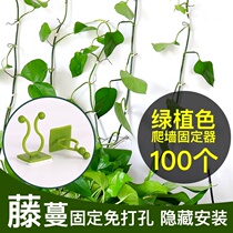 Green Rose green plant climbing wall fixed artifact no trace household buckle climbing indoor vine plant wall adhesive hook fixing clip