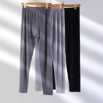 Modale Autumn Pants Mens Style Summer Ultra Slim Fit Pants Tight Fit Spring And Autumn Elastic Ice Silk Underpants