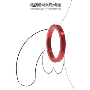 Metal Penis Ring Locks Sperm, Increases Sensitivity, Aids in Sexual Pleasure, Aids in Sexual Intercourse, Couple's Products, Male Anti-Ejaculation Auxiliary Orgasm Artifact, Sm Tool