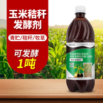 Cloud fermentation straw fermenting agent forage silage yellow storage corn straw green storage yellow storage grass feed fermentation agent strain