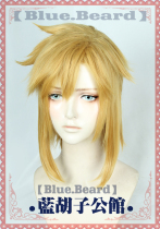 (Blue Beard) cos wig Link Zelda Legend of the Wild Breath Man