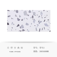 Модель 2-Light 300*600