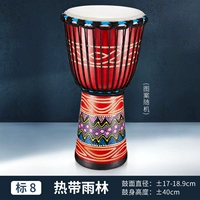 Ставка 8 Тропический дождевой лес+подарок