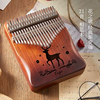 21 Звук [Acacia Best Tone] Цветочный оленя Градиент кофе+подарок