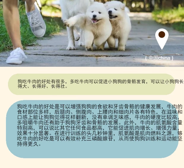 Năm pound thịt bò băm sữa bùn tươi thịt băm thịt băm nhỏ tự nhiên cắt thịt chó tự chế thức ăn ướt thức ăn cho mèo - Chó Staples