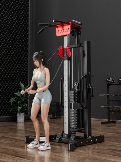 Suojie Gantry Home Gym Multifunctional Integrated High Pull-Down Trainer Rowing Back Pull Small Bird Machine