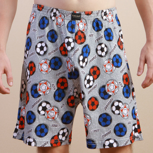 Arro Pants Knit Men's Pure Cotton Youth Mid-Waist Four-corner Pants Sport All Cotton Loose Long Version Anti-Wear Leg Men's Underwear