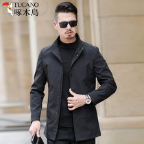 Woodpecker spring thin jacket mens stand-up collar spring and autumn new middle-aged casual jacket loose dad jacket