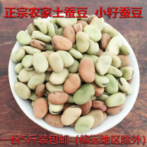 Broad bean dried broad bean Hubei specialty small seed broad bean self-planted soil broad bean pea small particle bean pea oil salt Bean