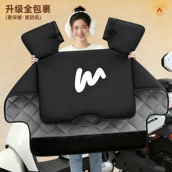 Electric vehicle windshield