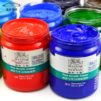 Special propylene pigment DIY indoor outdoor art painting paint by Windsor Newton propylene 300ml painter