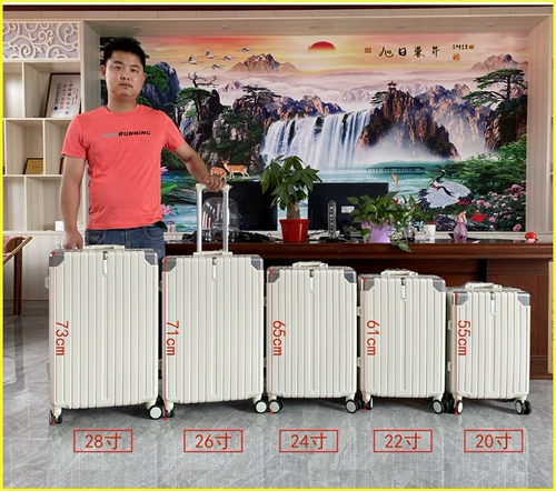 ZORETTO Прочный чемодан, увеличенная толщина, 24 дюймов