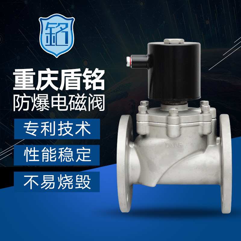 Explosion-proof solenoid valve stainless steel flange explosion-proof solenoid valve 0 6 1 6MPa ExdIICT5