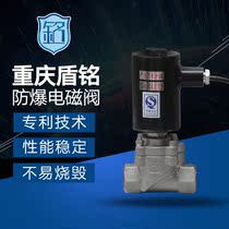 Chongqing solenoid valve terminal seat type explosion-proof solenoid valve ExdIICT5 4 two-position two-way explosion-proof solenoid valve