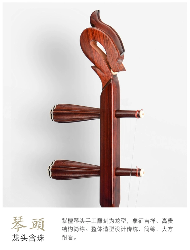 Han Le Fang Rosewood Erhu Nhạc cụ Người lớn đích thực chơi bộ sưu tập chuyên nghiệp cấp độ huhu HG76-2 - Nhạc cụ dân tộc