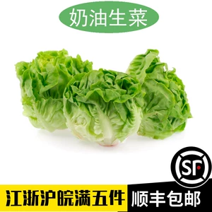 Свежие кремовые салаты 500 г 奶 波 新 菜 菜 新 新 新 新 新 新 新 新 新 新 新 新 新 新 新 新 新 新 新 新 新 walla burger барбек