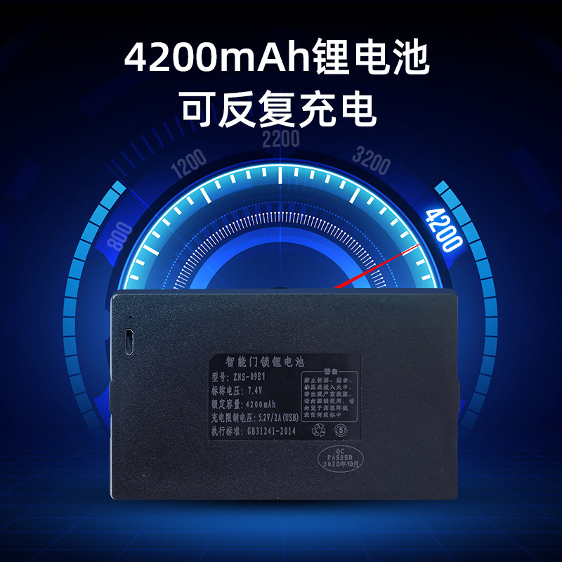 Special lithium battery accessories for password intelligent lock-special lithium battery for fingerprint lock