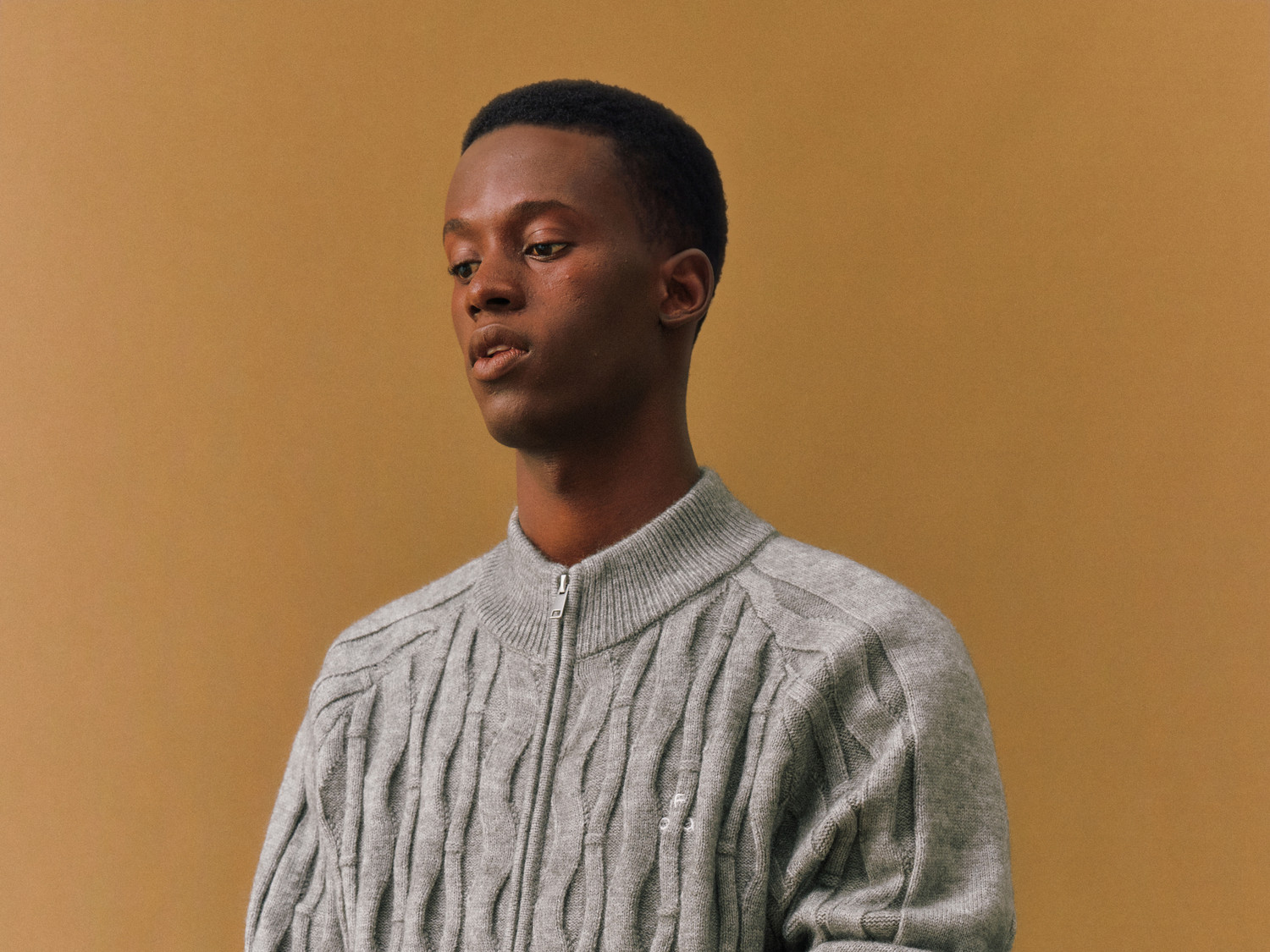 FPA Spiral Cable-Knit Zip Sweater