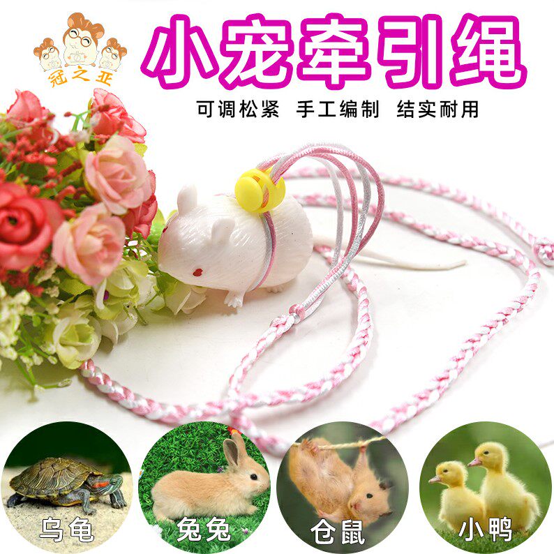 Walking Hamster Traction Rope Clothes Mini Small Horn Hedgehog Supplies Cuddling Bag Style Small Out Honey Bag Golden Silk Bear