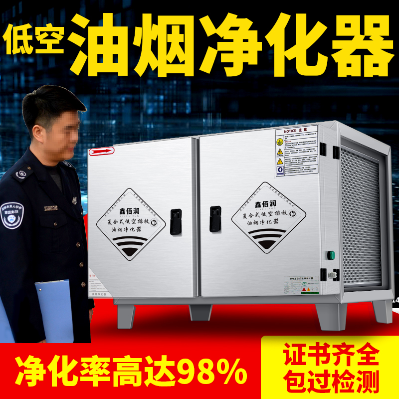 Oil Smoke Purifier Catering Kitchen Low Air Discharge Environmentally Friendly Small Air Volume Barbecue Smoke-free Purifier Hotel Commercial