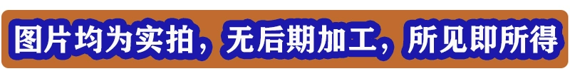 ghế nhựa gấp gọn cao Bàn ghế gấp ngoài trời công viên bãi biển cắm trại di động thiết bị vân gỗ óc chó trọn bộ bàn trứng cuộn hợp kim nhôm ghế xếp phượt bộ bàn ăn xếp gọn thông minh