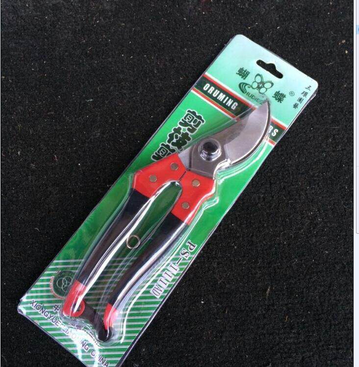 National Butterfly Cut Branches Cut Branches Garden Cut Garden Sheared Garden Sheared Cut of Fruits Scissors