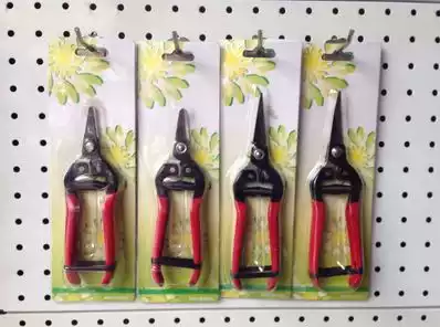 Pruning tree Vine Scissors Scissors grape scissors betel nut Clipper orange scissors citrus scissors rare fruit scissors