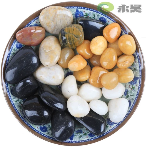 Цветочный горшок с галькой цвето