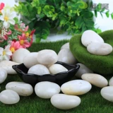 Цветочный горшок с галькой цвето